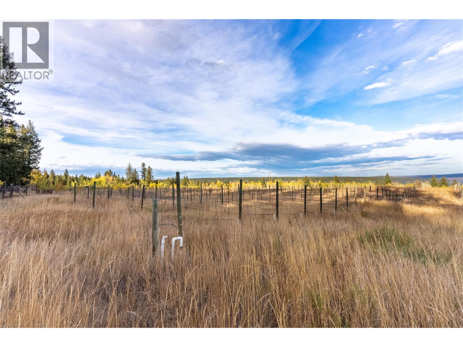 75 BIG BAR ROAD - 58