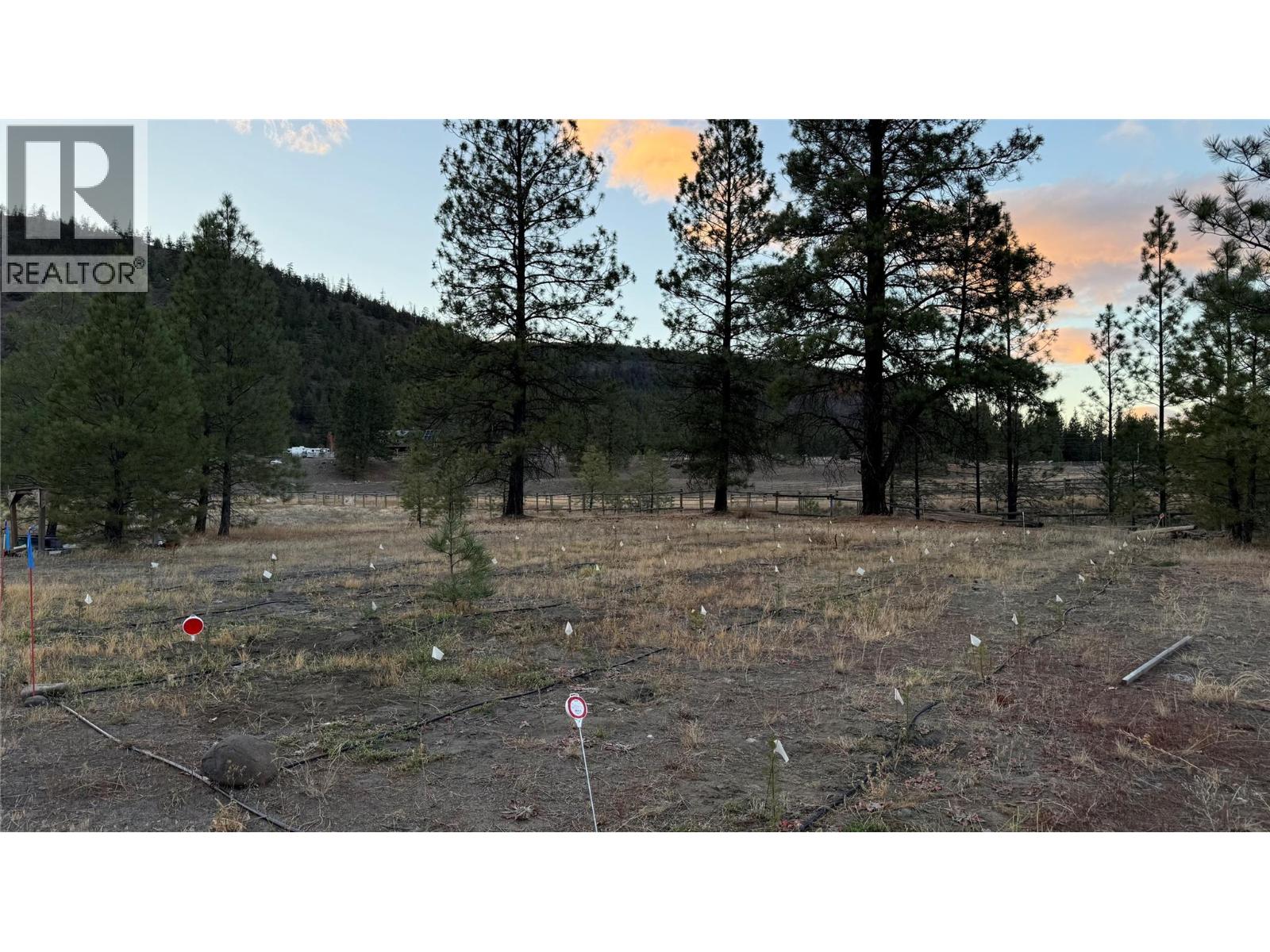 3020 PROSPECT CREEK FSR ROAD - 37