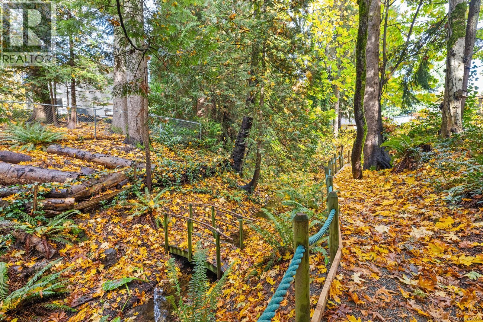 2514 LODGEPOLE RD - 34