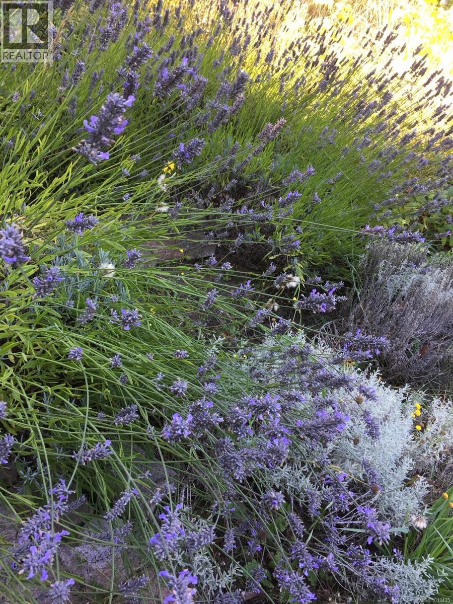  4882 Lochside Drive, Saanich