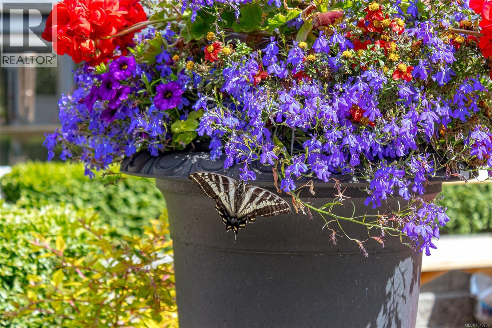  11376 Osprey Place, North Saanich