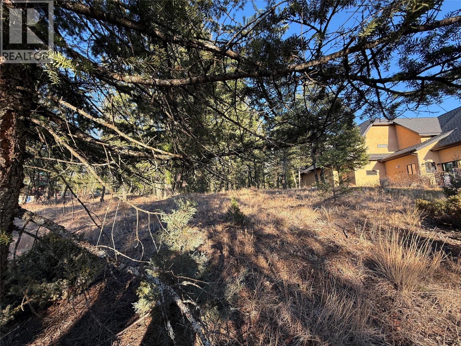 LOT 4 CROOKED TREE PLACE - 12