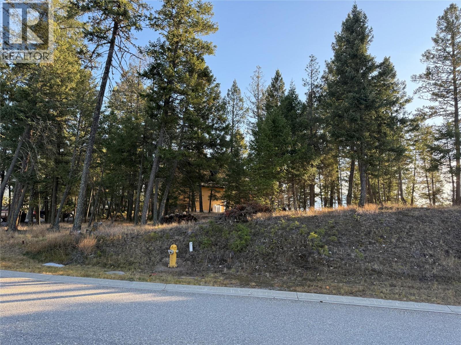 LOT 4 CROOKED TREE PLACE - 14