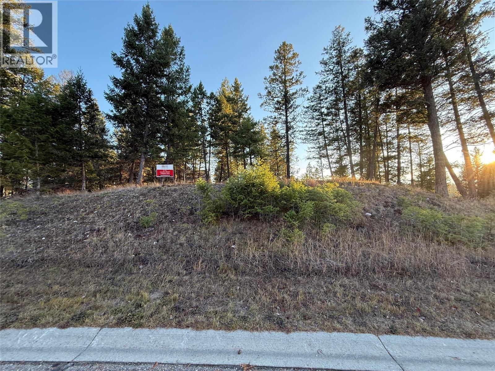 LOT 4 CROOKED TREE PLACE - 16