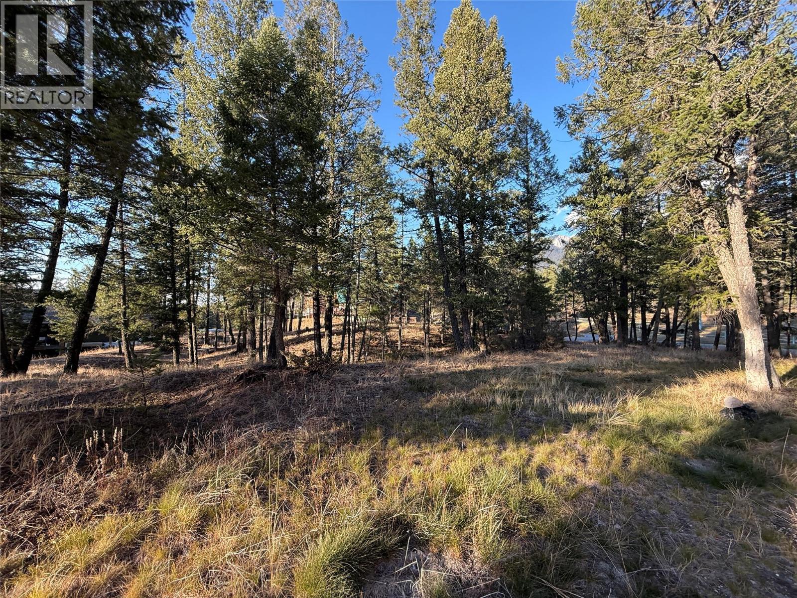 LOT 4 CROOKED TREE PLACE - 8