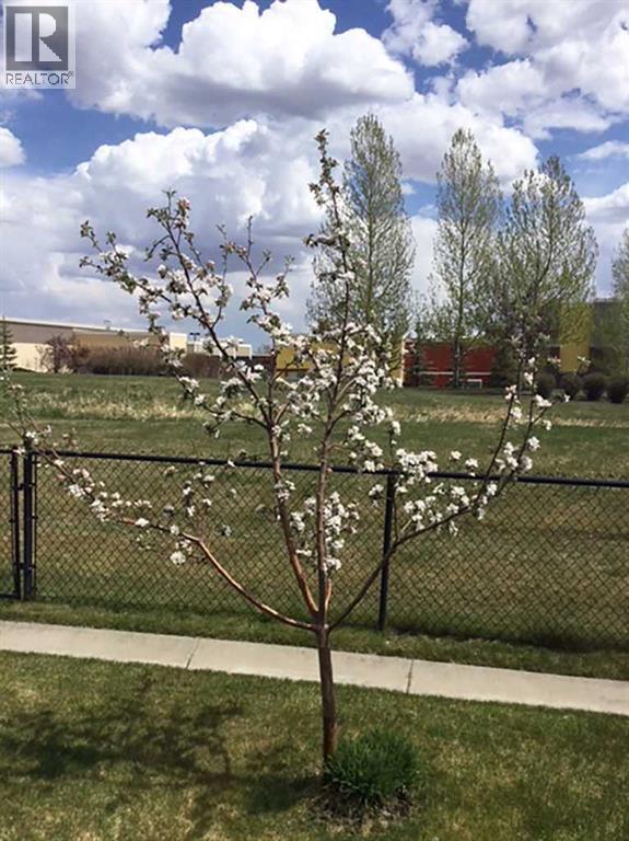 Single Family House for Sale in  Silverado Plains Close SW Silverado Calgary 