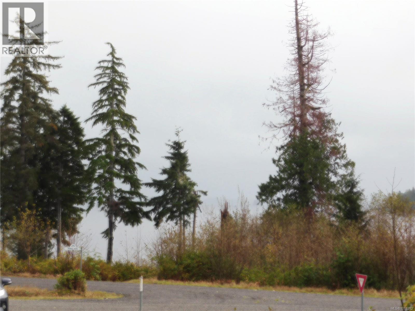 1169 First St, Ucluelet