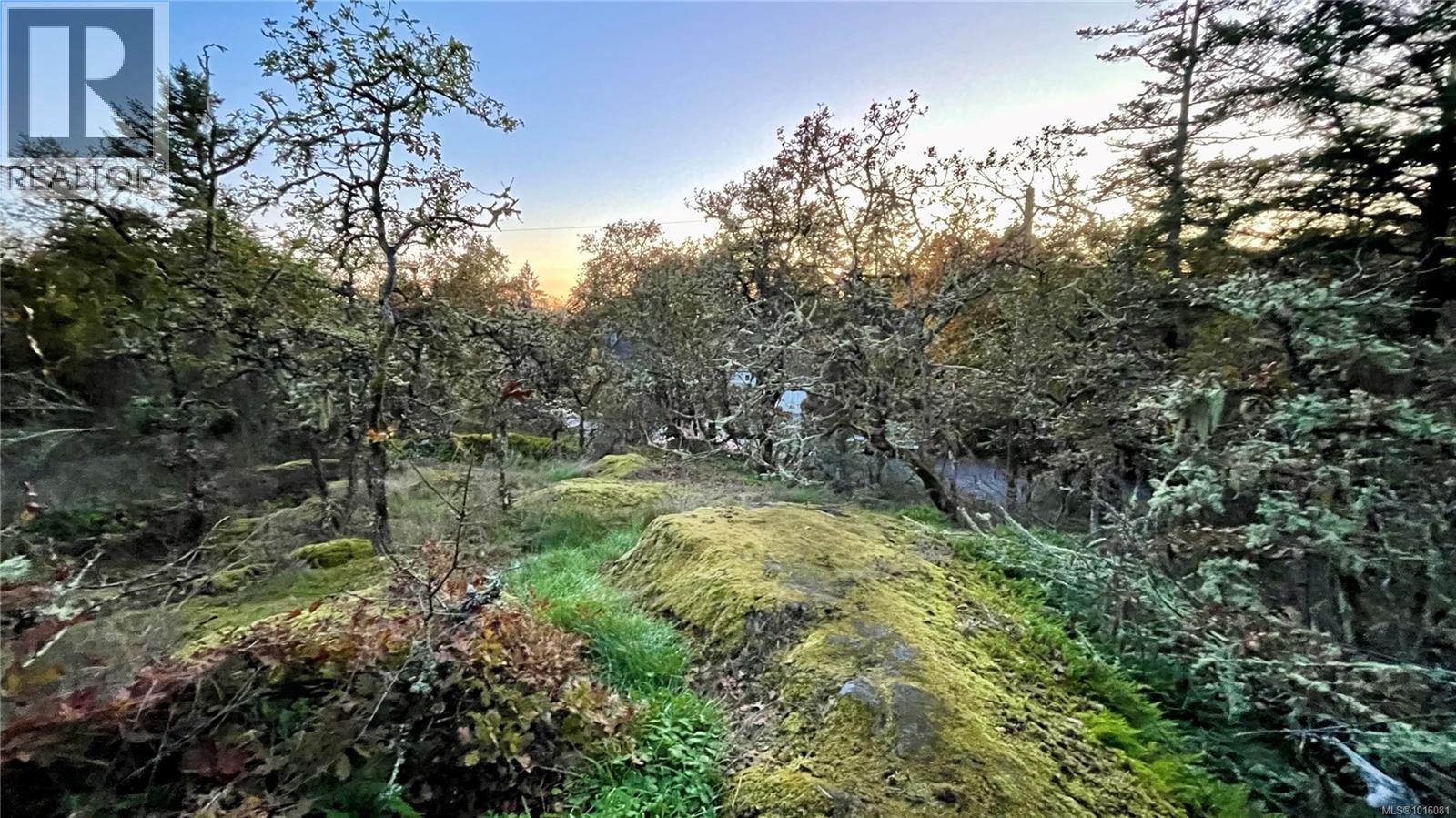 405 740 TRAVINO Lane, Saanich