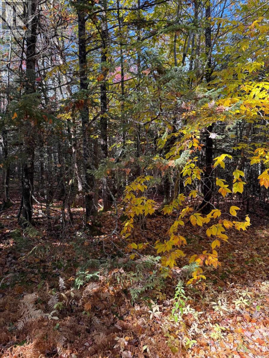 Property 10 of 13 of 1 Port Malcolm Road