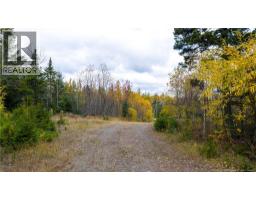 Route 172, St George, NB E5C3C6 Photo 12