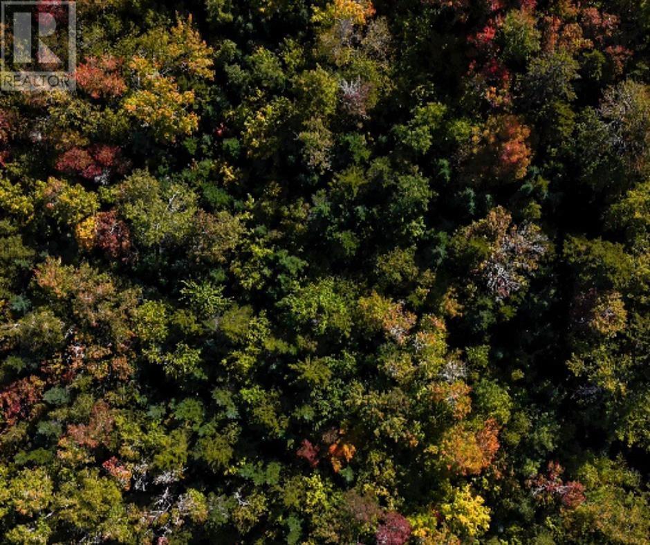 Property 5 of 44 of 87-1 Falkenham Road