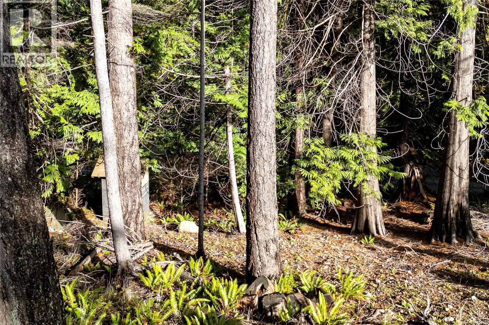 403 Whaletown Rd - 33