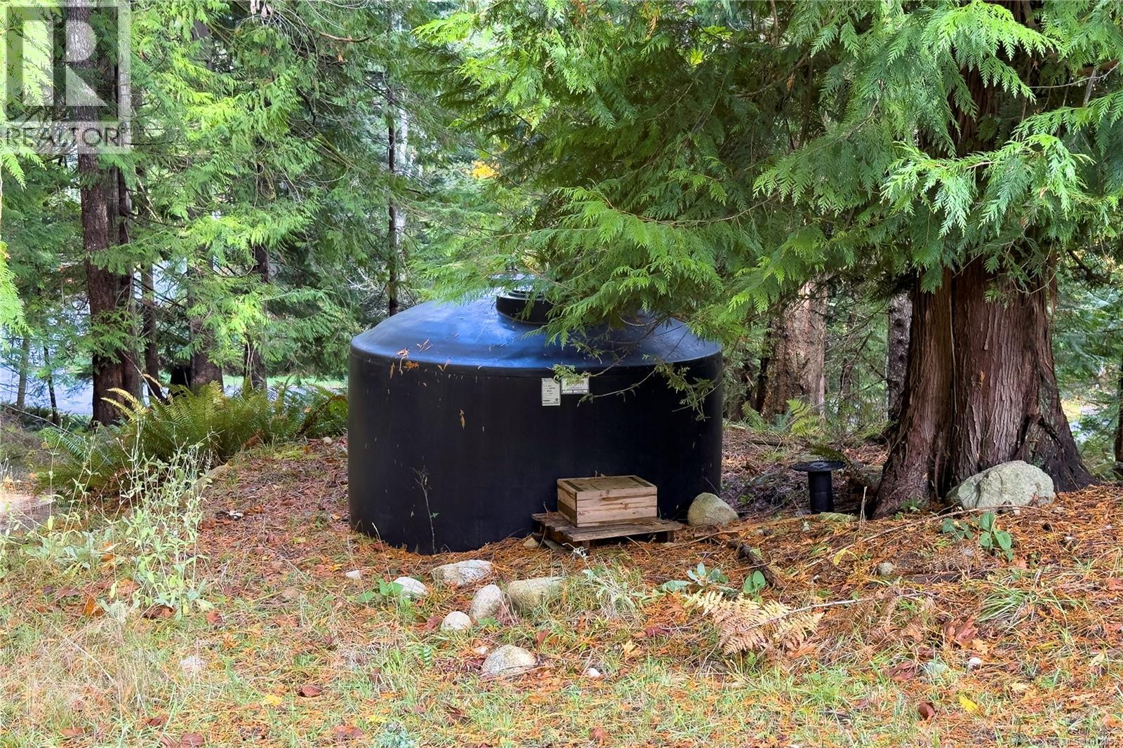 403 Whaletown Rd - Image 47