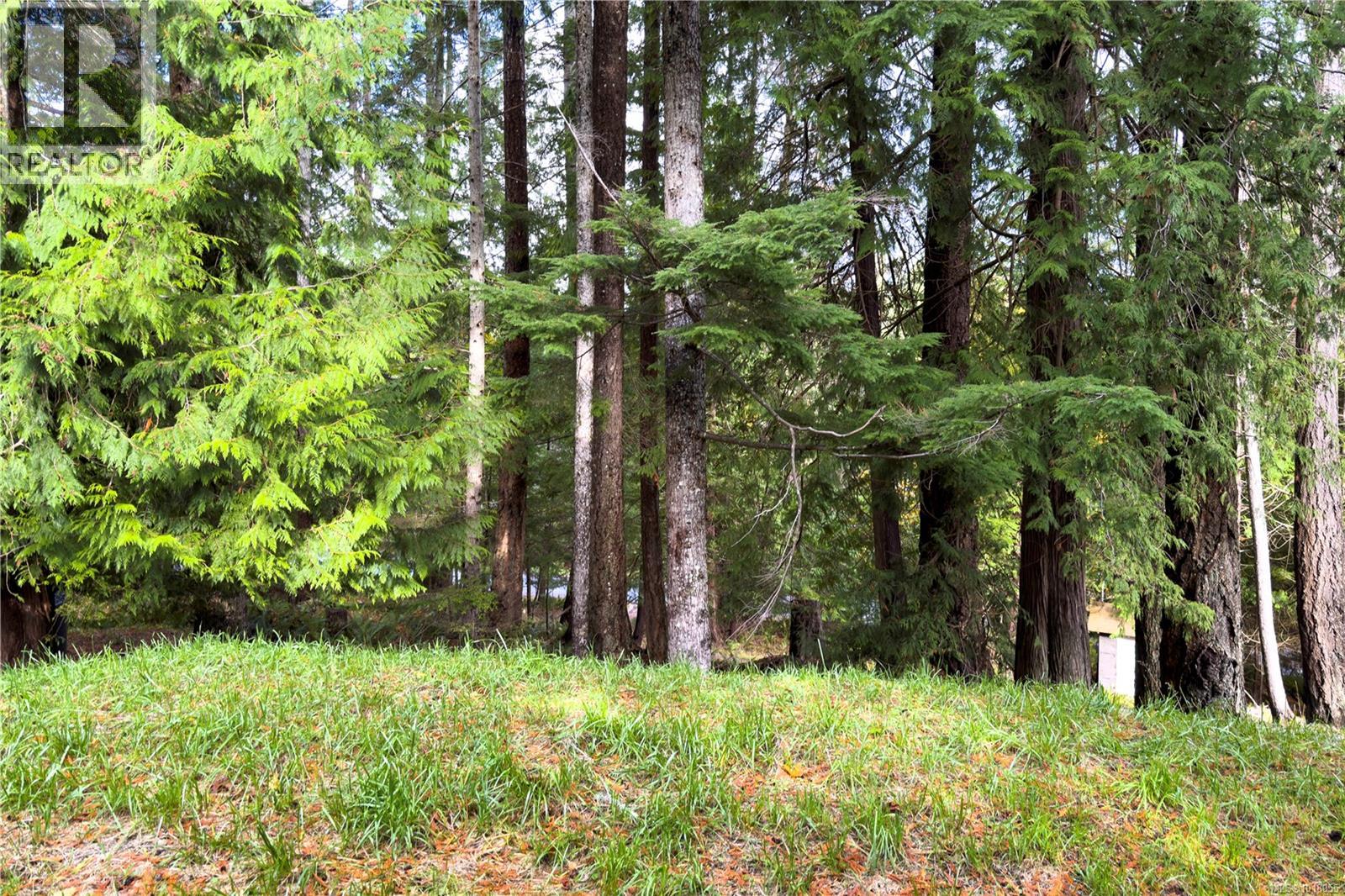 403 Whaletown Rd - Image 38