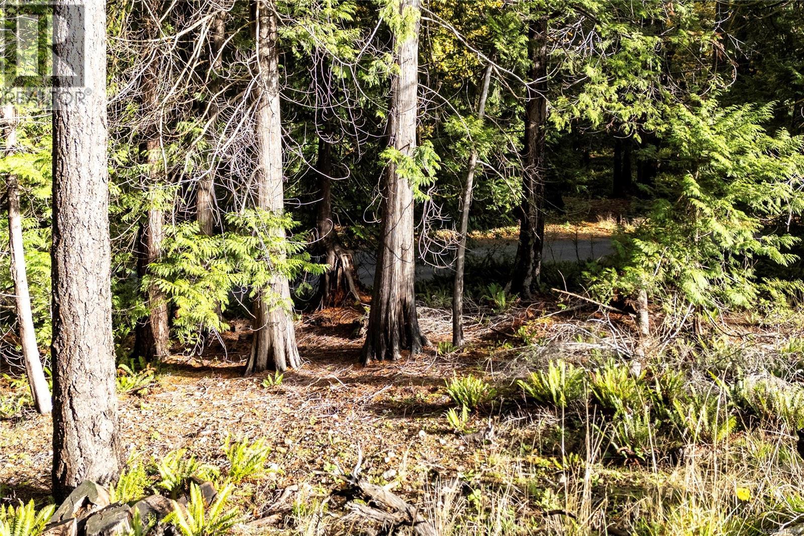 403 Whaletown Rd - 34