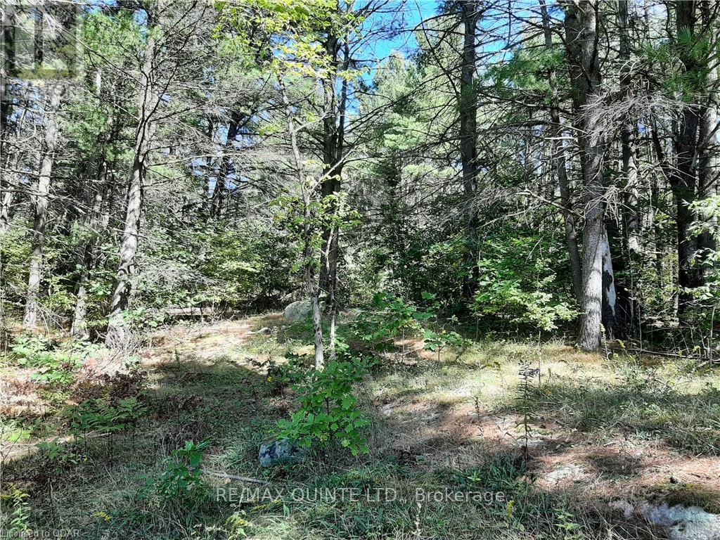 0 PT LT12 CON14 HWY 37 ROAD