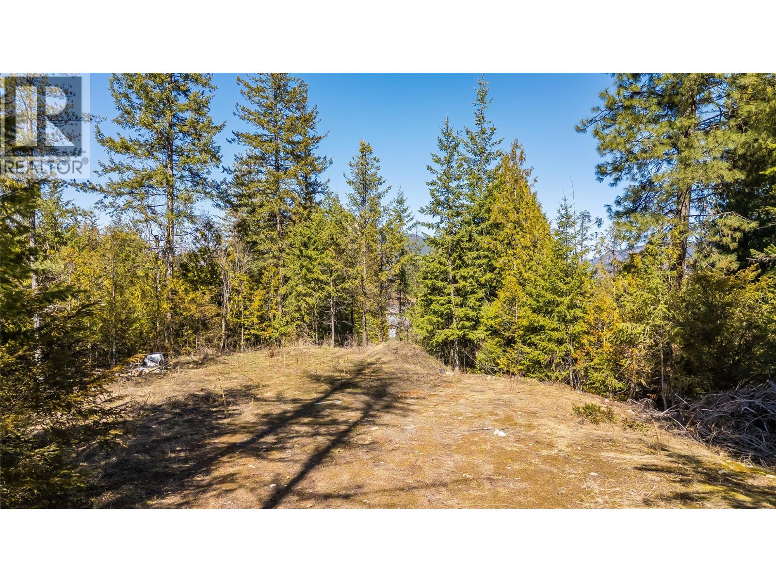 1428 Meadowbrook Drive, Castlegar