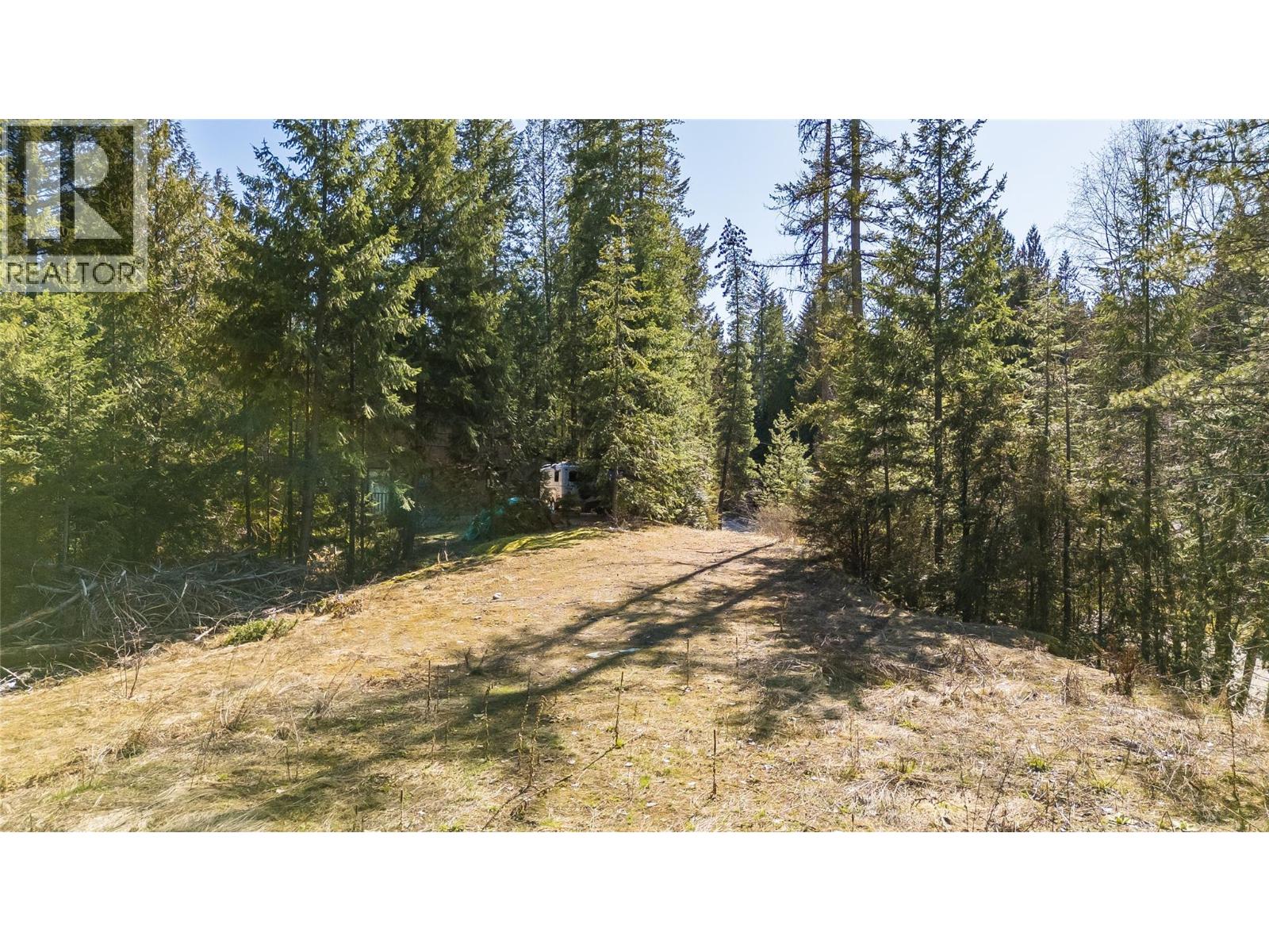 1428 Meadowbrook Drive, Castlegar