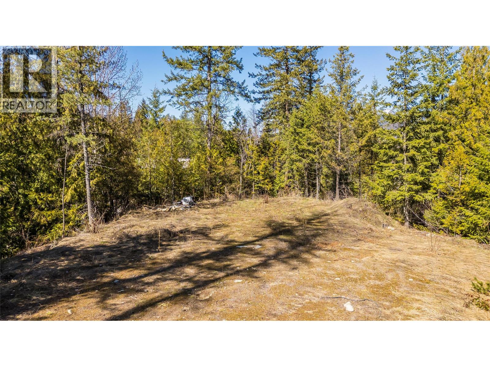 1428 Meadowbrook Drive, Castlegar