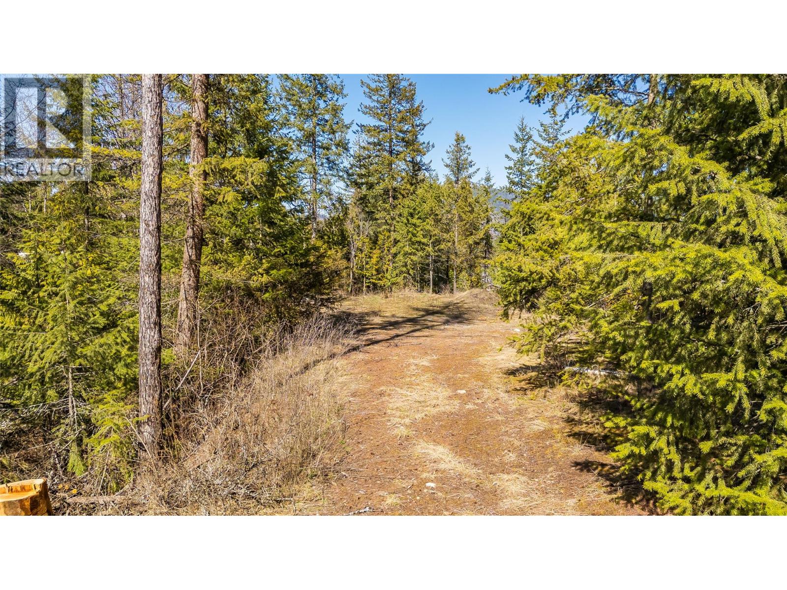 1428 Meadowbrook Drive, Castlegar