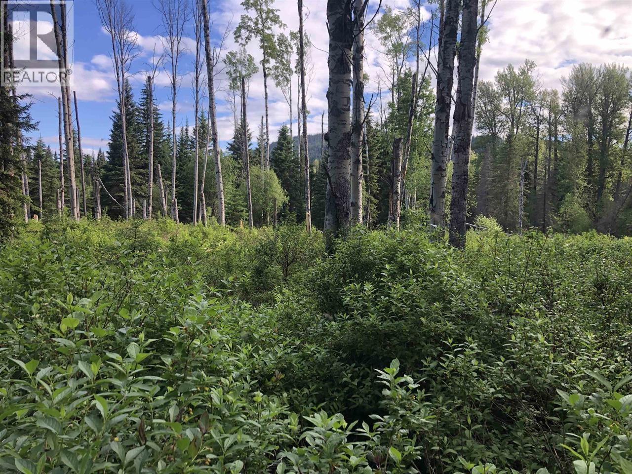 3078 BRADLEY CREEK ROAD, 100 Mile House