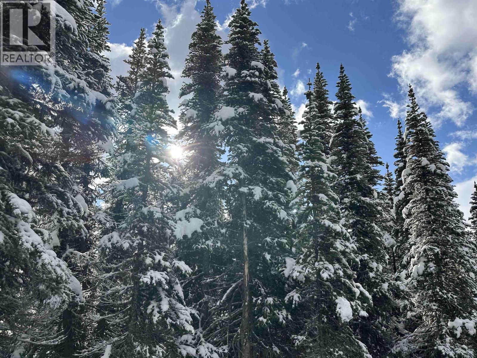 345 PRAIRIE Road, Smithers