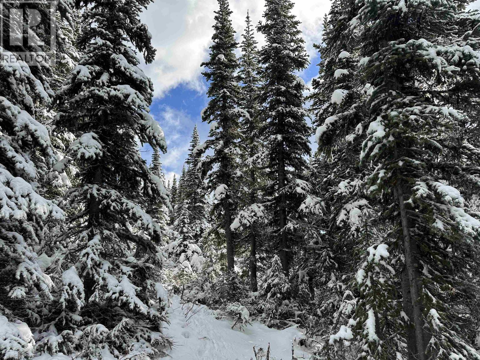 345 PRAIRIE Road, Smithers