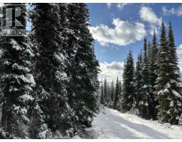 345 Prairie Road, Smithers, BC V0J2N0 Photo 6