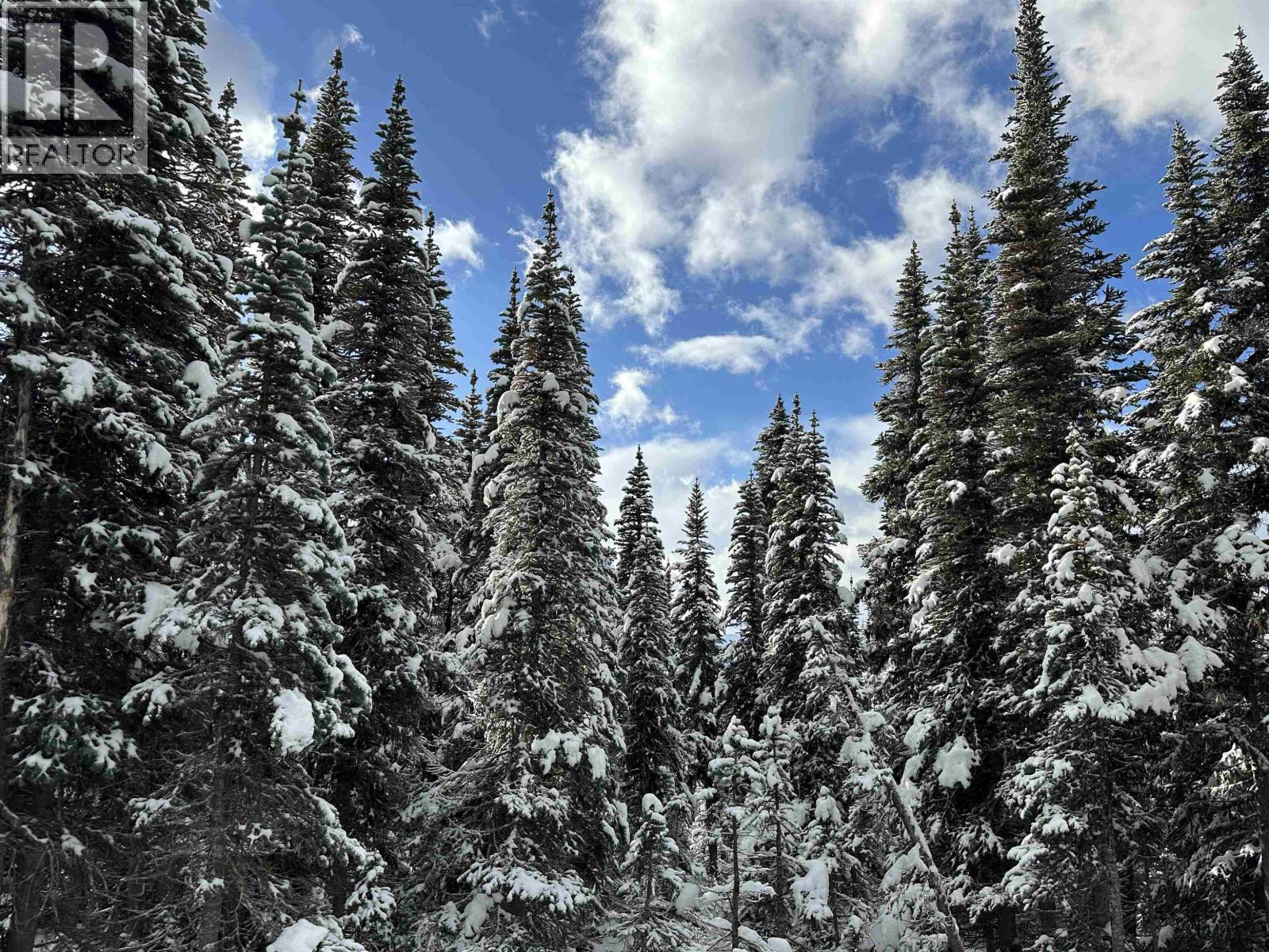 345 PRAIRIE Road, Smithers