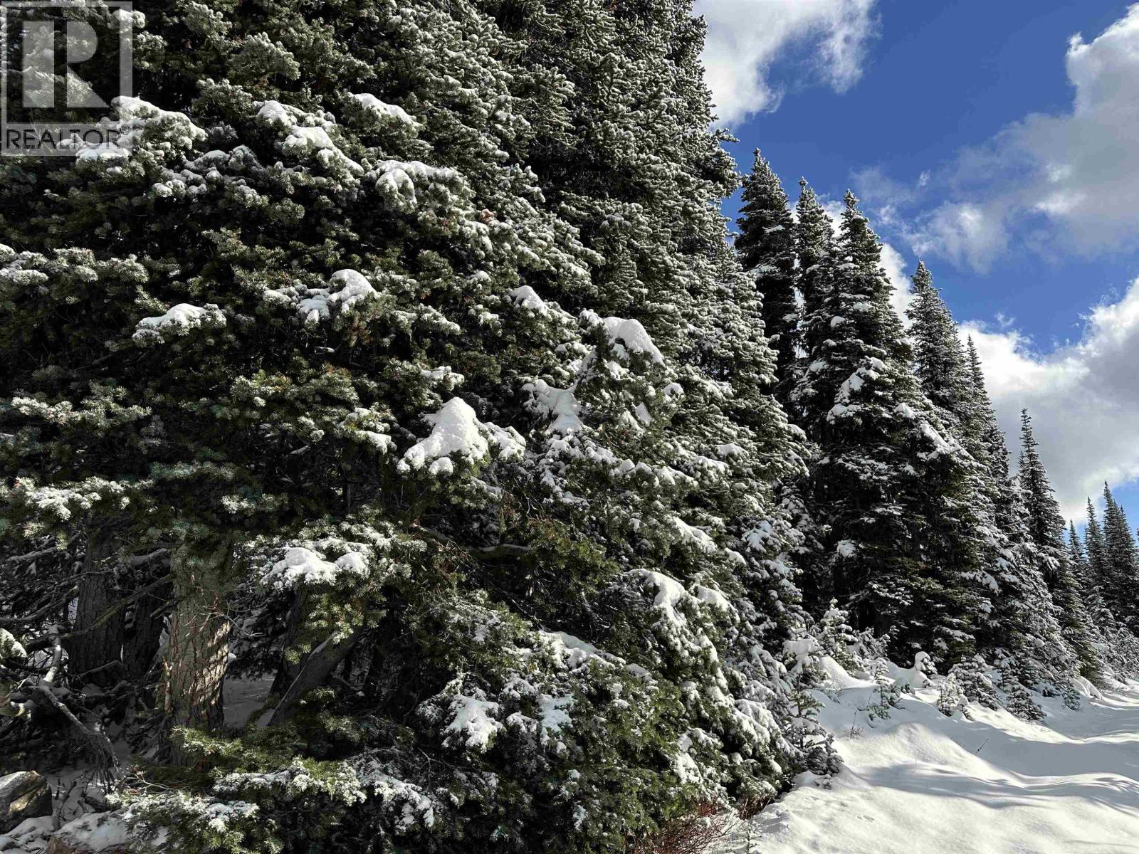 345 PRAIRIE Road, Smithers