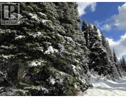 345 Prairie Road, Smithers, BC V0J2N0 Photo 8