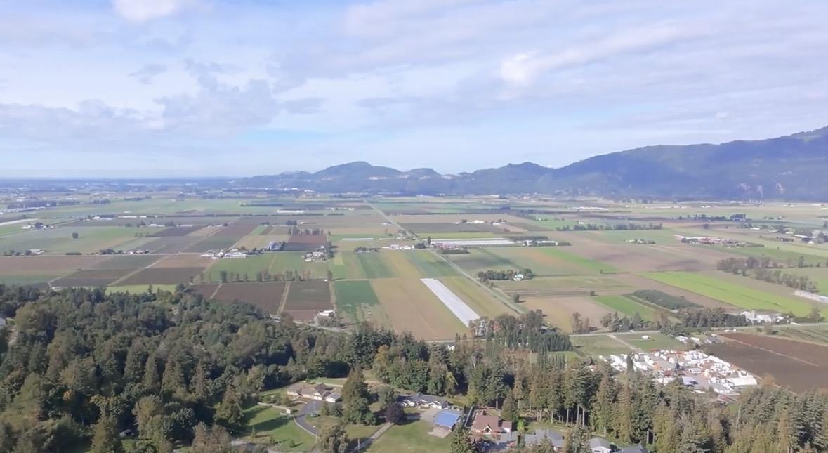 41768 BOWMAN ROAD, Vedder Mountain, Yarrow