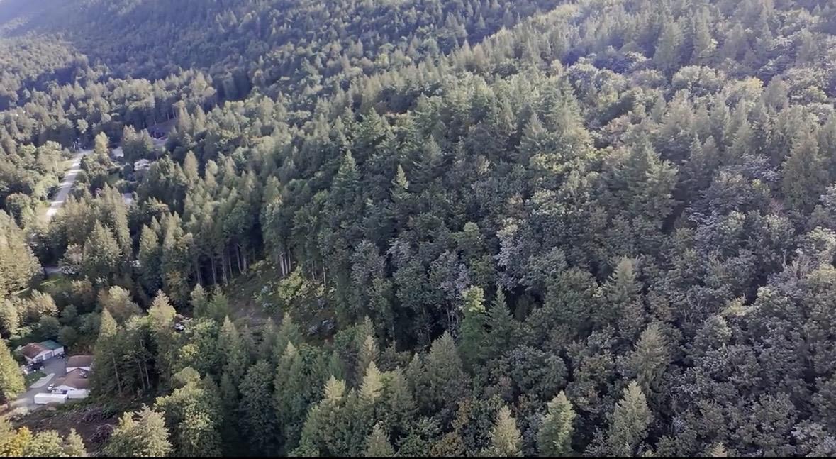 41768 BOWMAN ROAD, Vedder Mountain, Yarrow