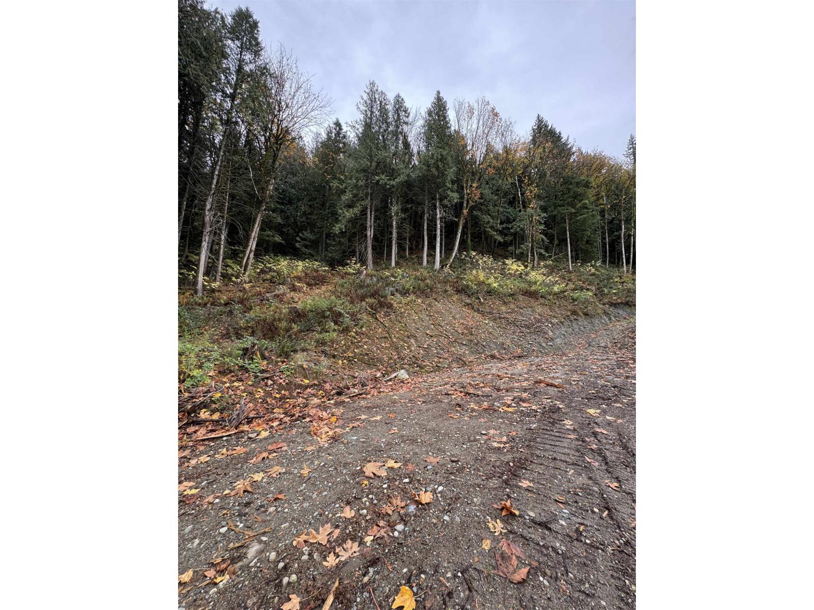 41768 BOWMAN ROAD, Vedder Mountain, Yarrow