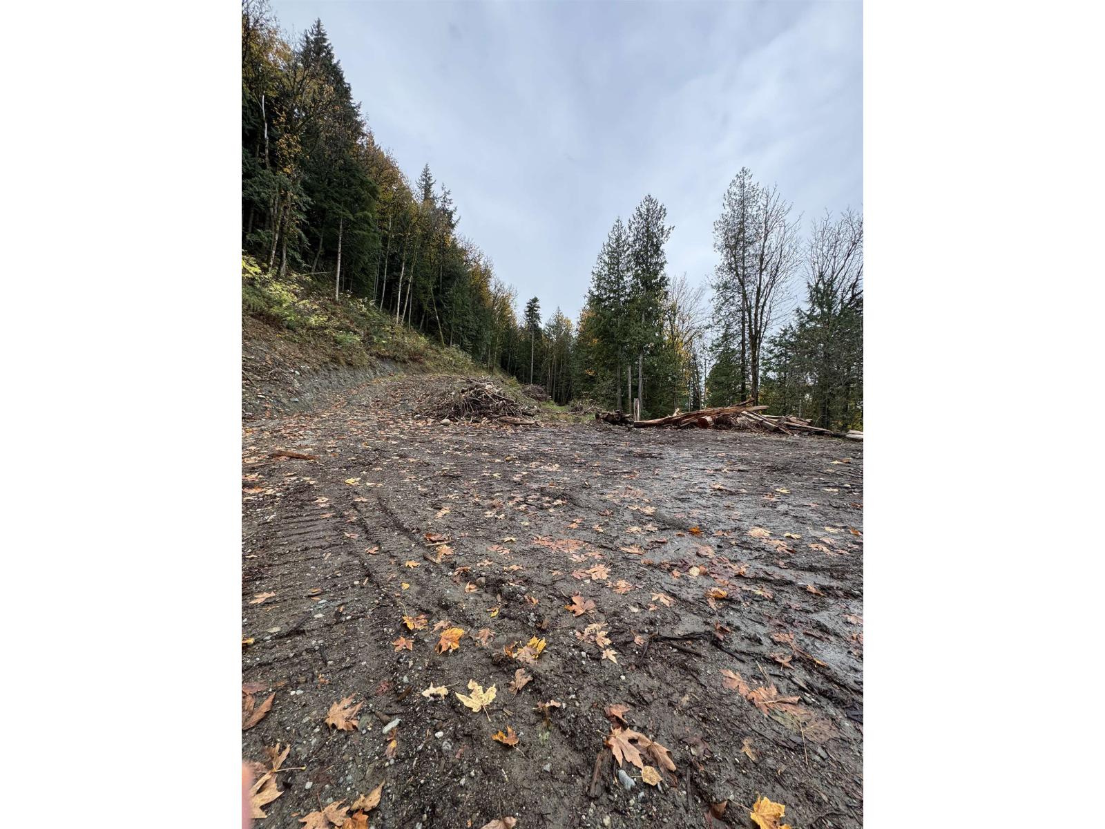 41768 BOWMAN ROAD, Vedder Mountain, Yarrow