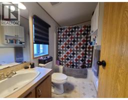 1070 4th Avenue, Valemount, BC V0E2Z0 Photo 15