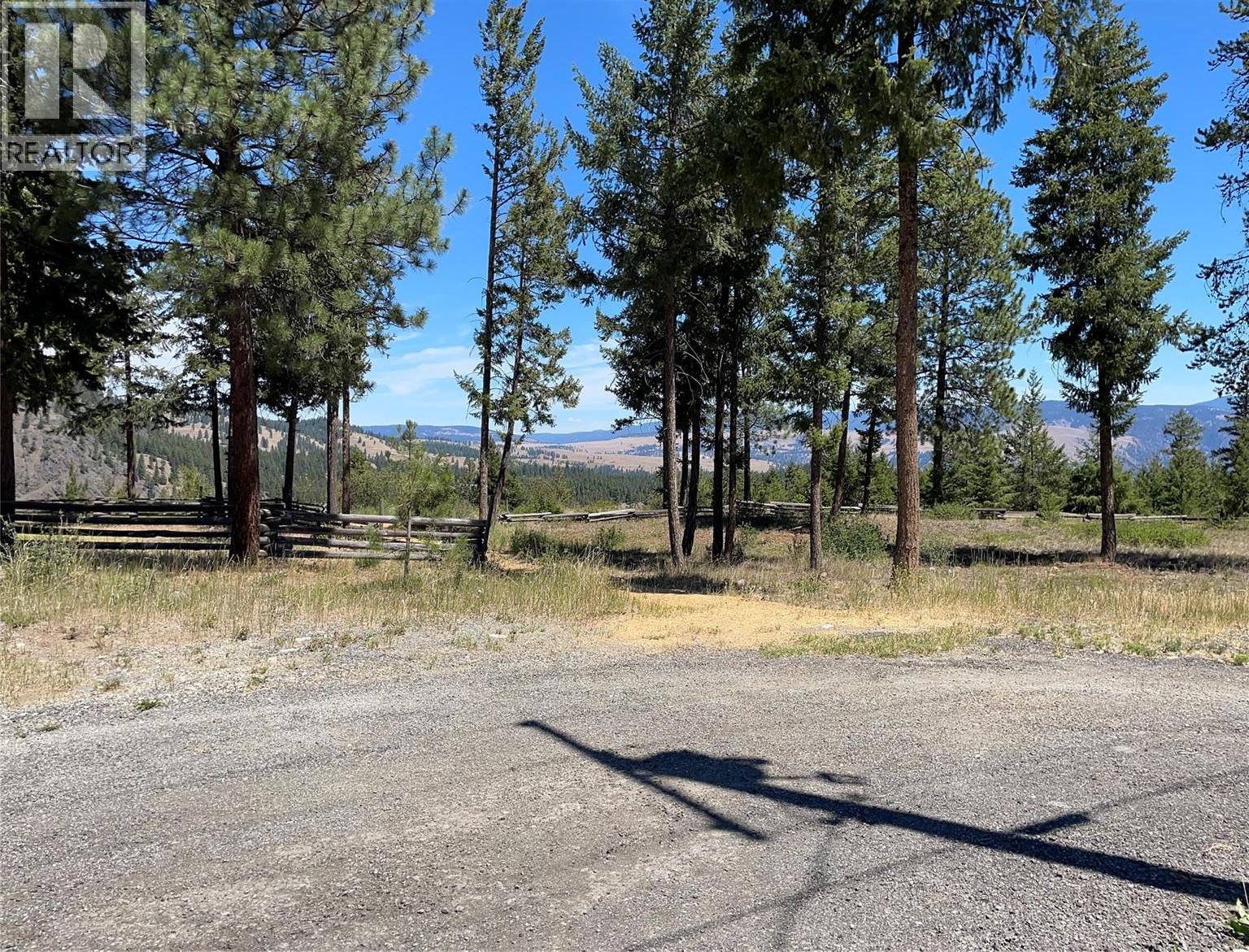 199 Old Black Mine Road - 54