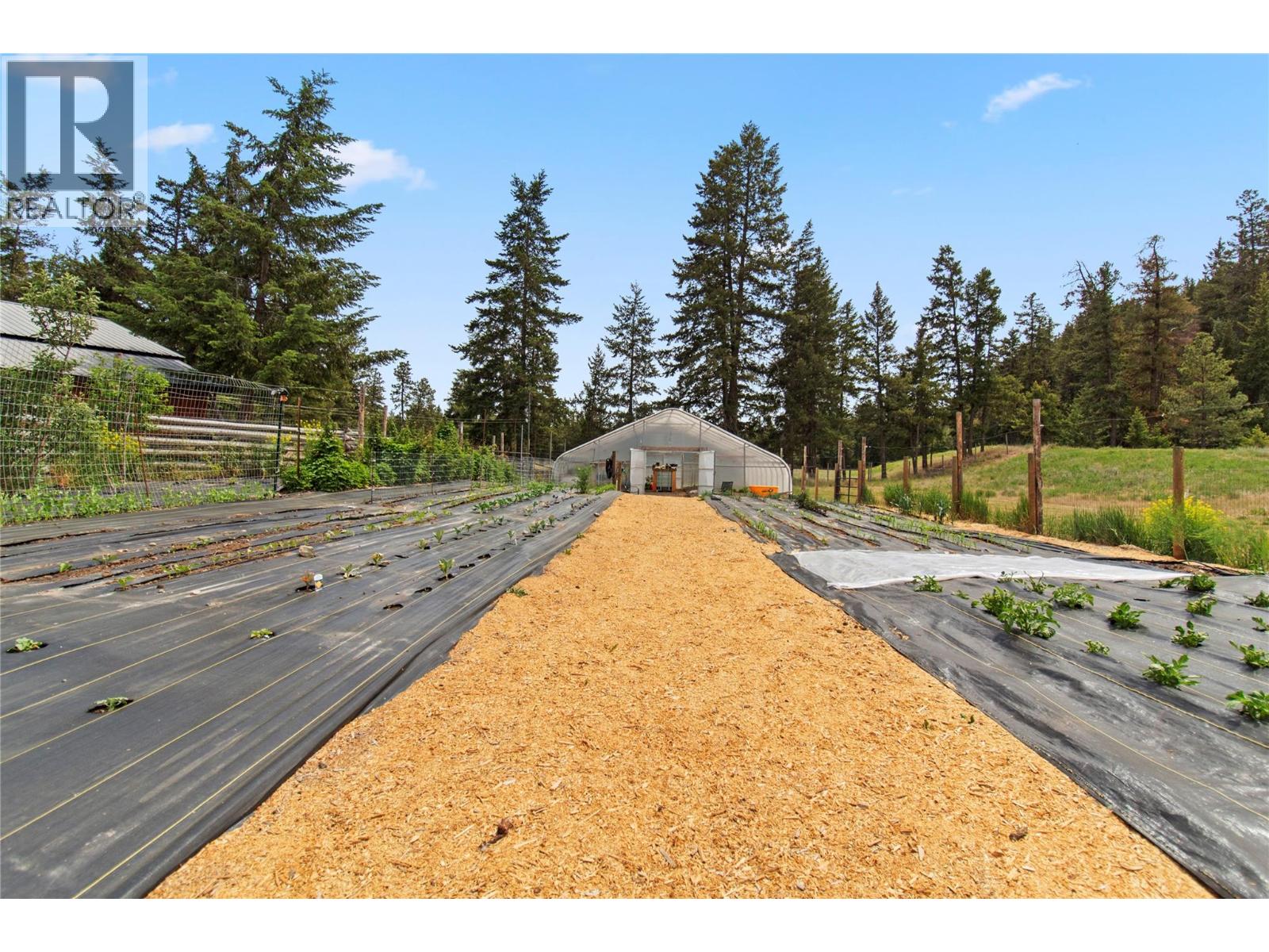 199 Old Black Mine Road - 43