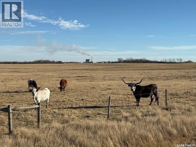 Kot Ranch — photo 37
