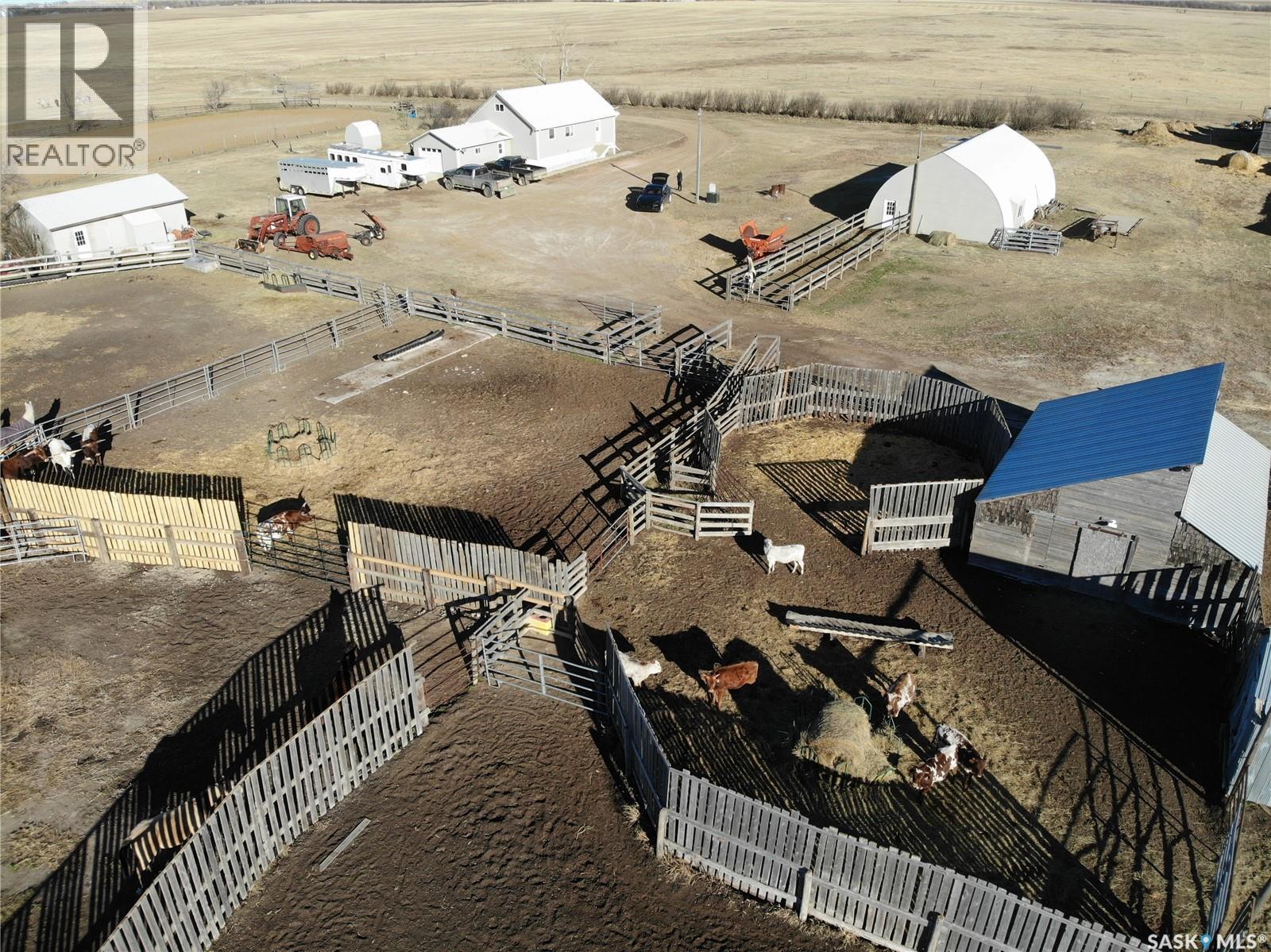Kot Ranch — photo 8
