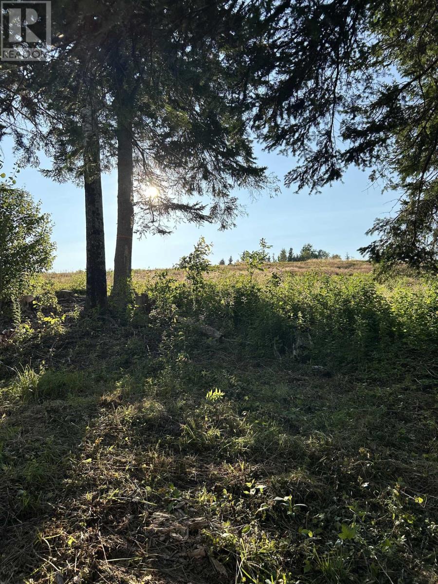 Property 7 of 14 of Ripley Road