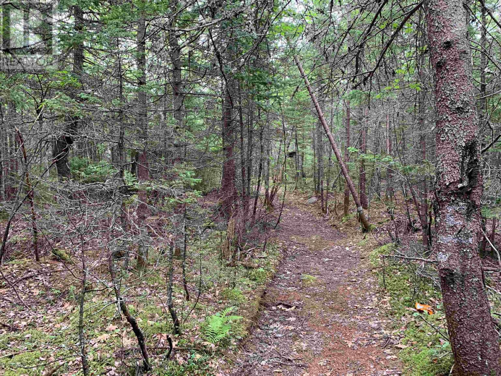 Property 4 of 5 of 34 Balsam Street