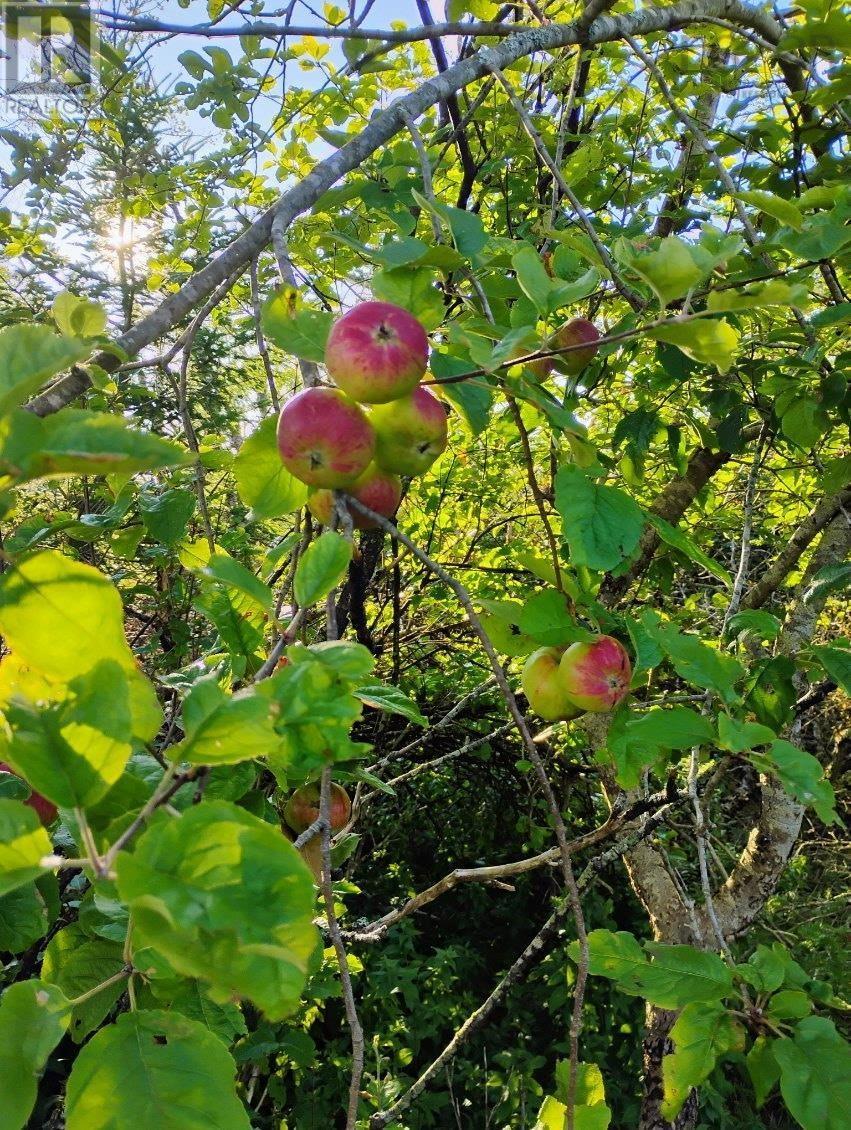 Property 12 of 13 of Acreage Highway NO 7