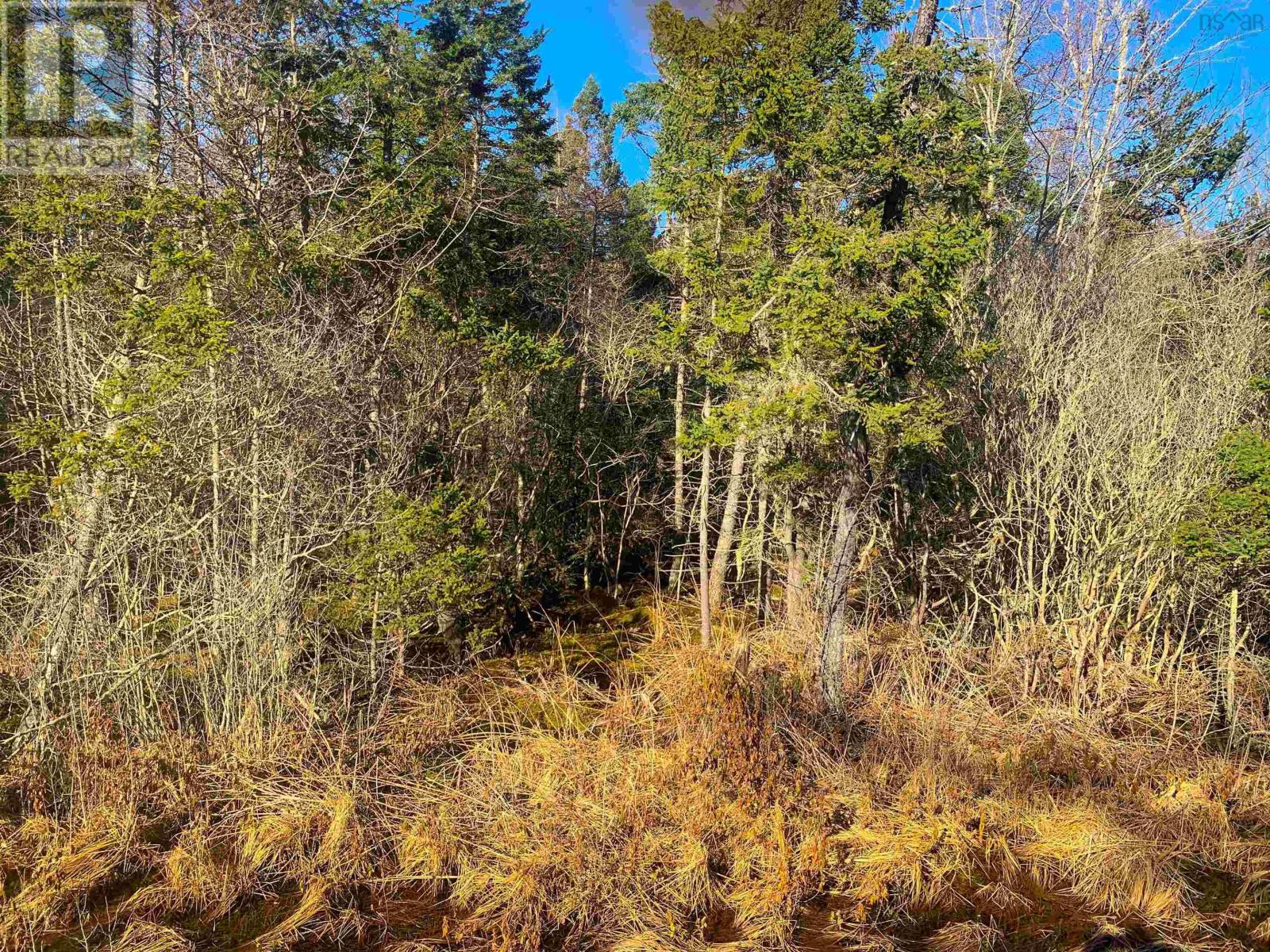 Property 5 of 5 of Lot 9 Bonnie Road