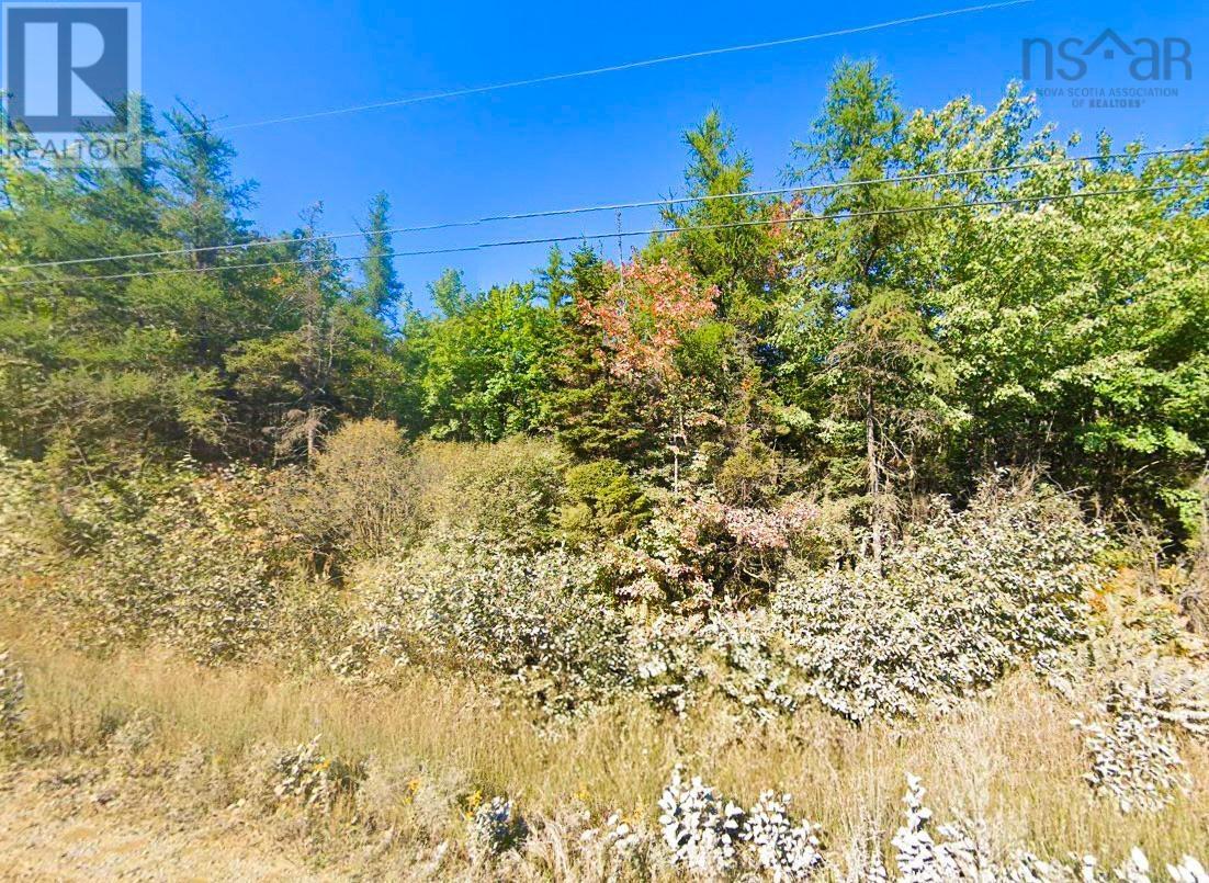 Property 3 of 5 of Lot 9 Bonnie Road