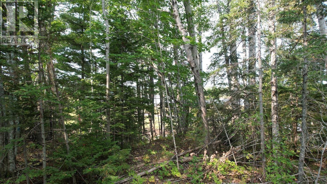 Property 15 of 19 of 24-1 Highway 321 Highway