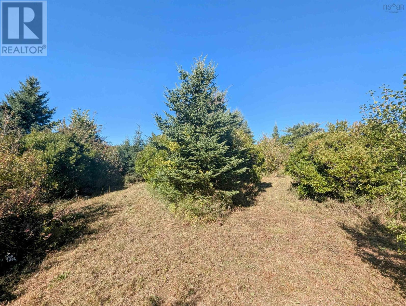 Property 15 of 25 of Lot 1 Avon Spirit Lane