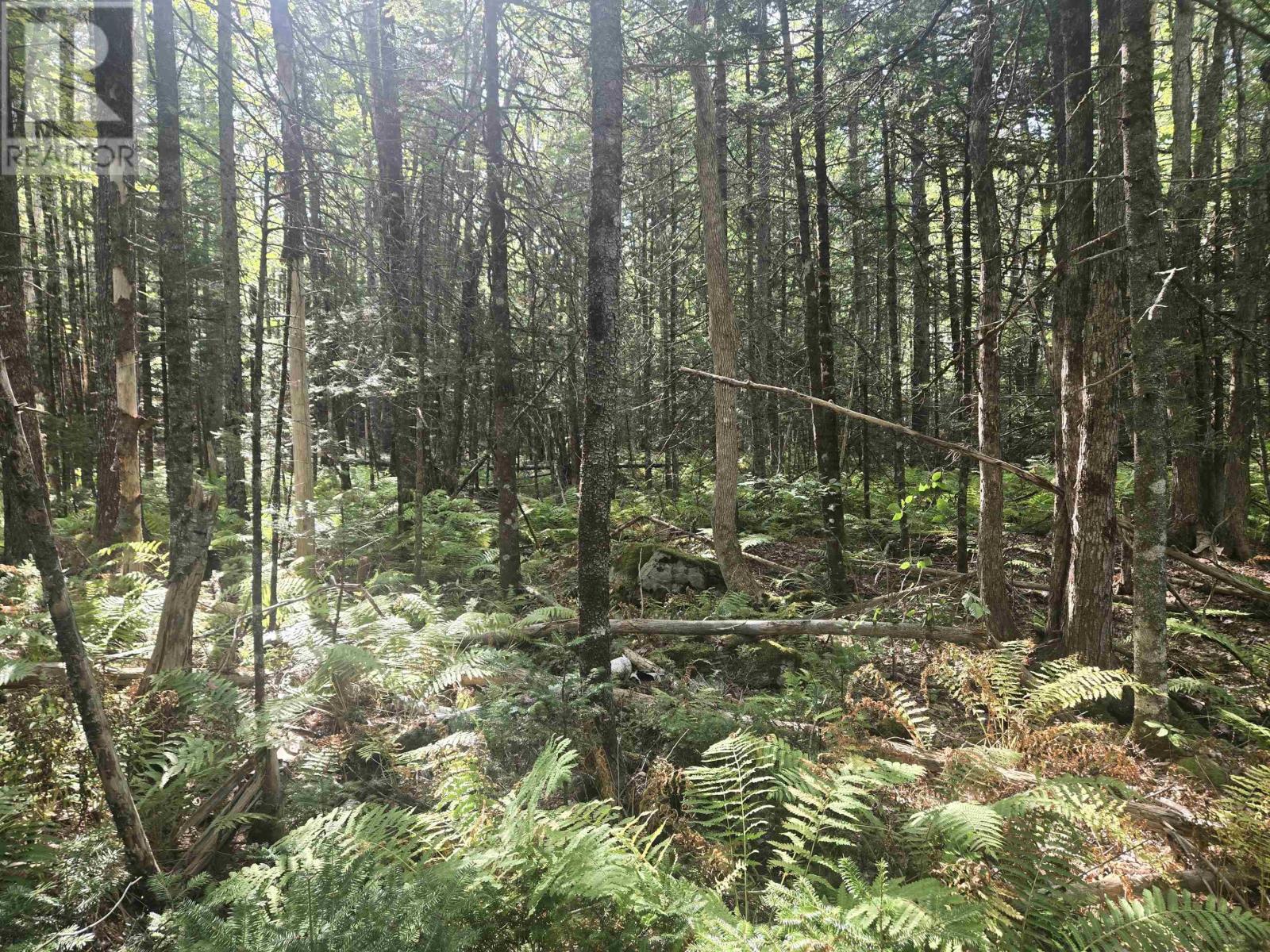 Property 9 of 12 of LOT Northfield Road