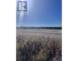 211 Queen Street W, Springwater, ON L0L1P0 Photo 12