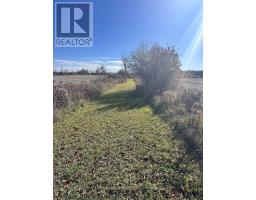 211 Queen Street W, Springwater, ON L0L1P0 Photo 14